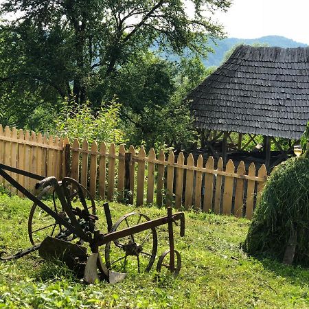 فيلا Casa Albastra Băile Olăneşti المظهر الخارجي الصورة
