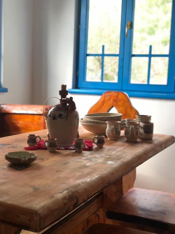 فيلا Casa Albastra Băile Olăneşti المظهر الخارجي الصورة