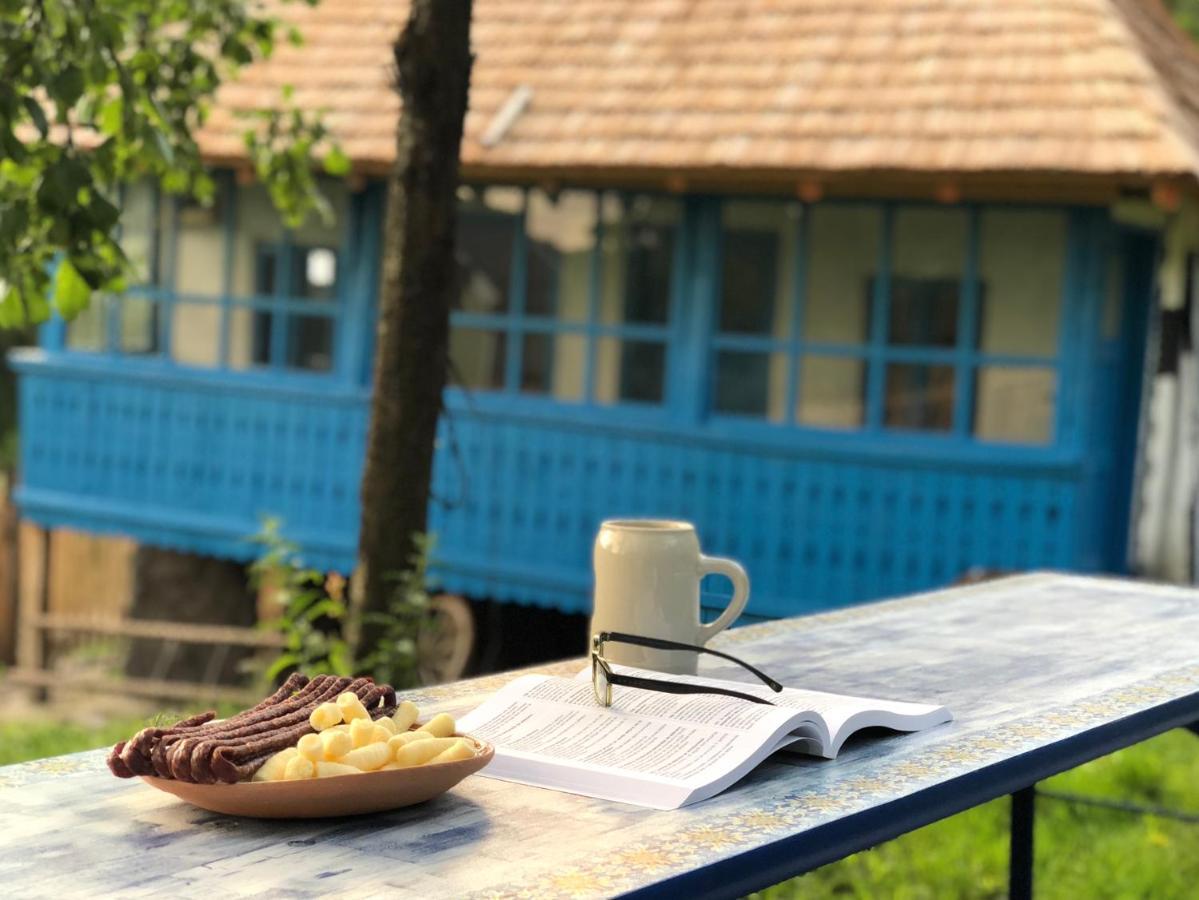 فيلا Casa Albastra Băile Olăneşti المظهر الخارجي الصورة